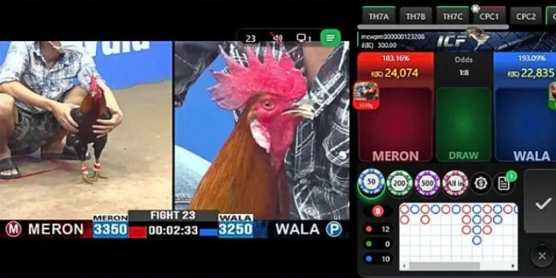 Đặt cược đá gà Bet168 theo thời gian thực